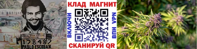 Где купить наркоту Советская Гавань Бошки Шишки  Кокаин  АМФЕТАМИН  Псилоцибиновые грибы  A-PVP  ГАШ 