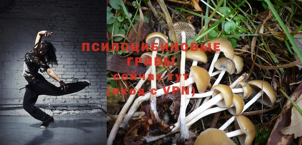 ПСИЛОЦИБИНОВЫЕ ГРИБЫ Абинск