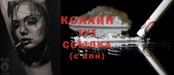 дмт Нягань
