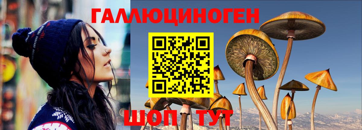 цена наркотик  Псилоцибиновые грибы ЛСД  Вход с VPN  Галлюциногенные грибы мицелий  Советская Гавань 