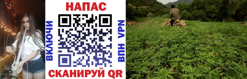 цены   ссылка на мегу маркетплейс  Канабис Bruce Banner  Советская Гавань 